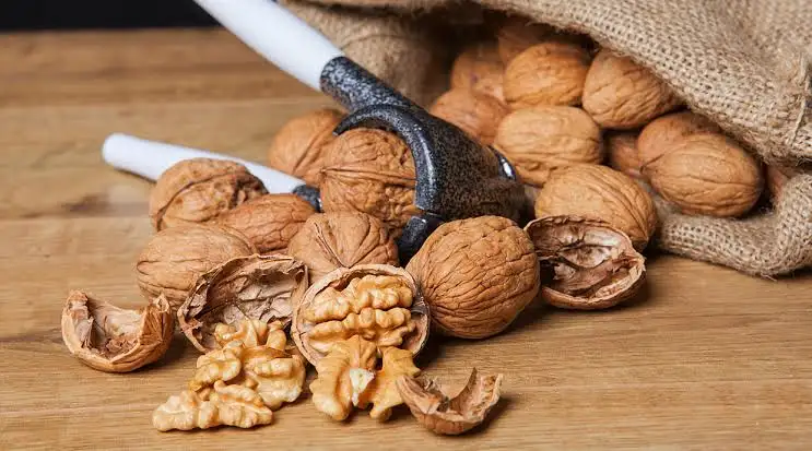Walnut