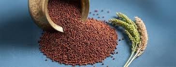 Ragi
